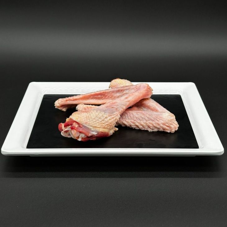 Entenflügel und Gänseflügel