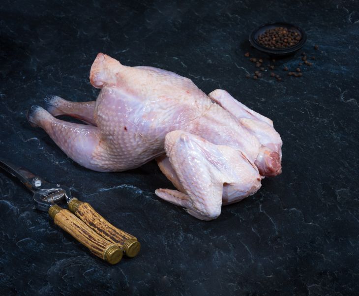 Suppenhuhn