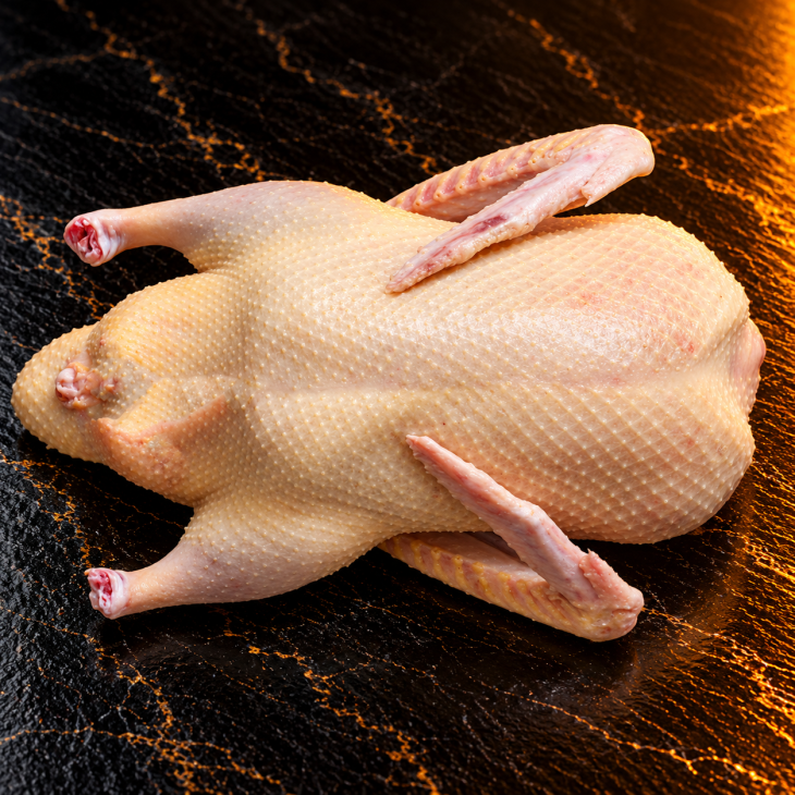 Ente
