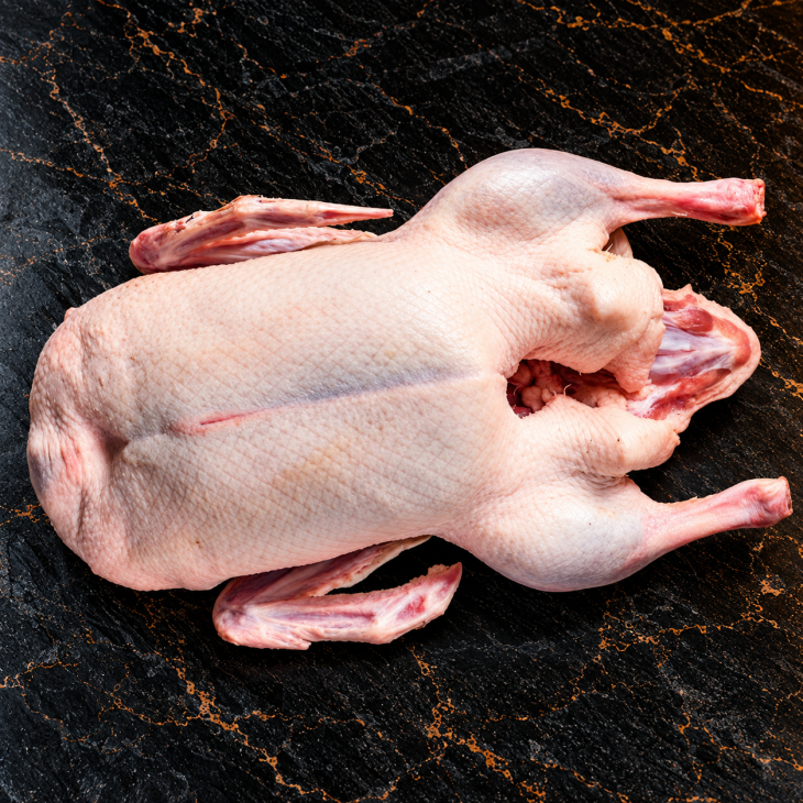 Gans